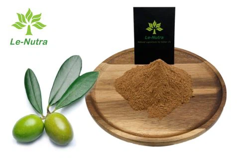 مسحوق مستخلص أوراق الزيتون